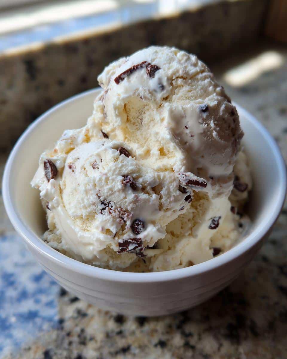 Close-up of two scoops of creamy cottage cheese ice cream with dark chocolate chips in a white bowl.
