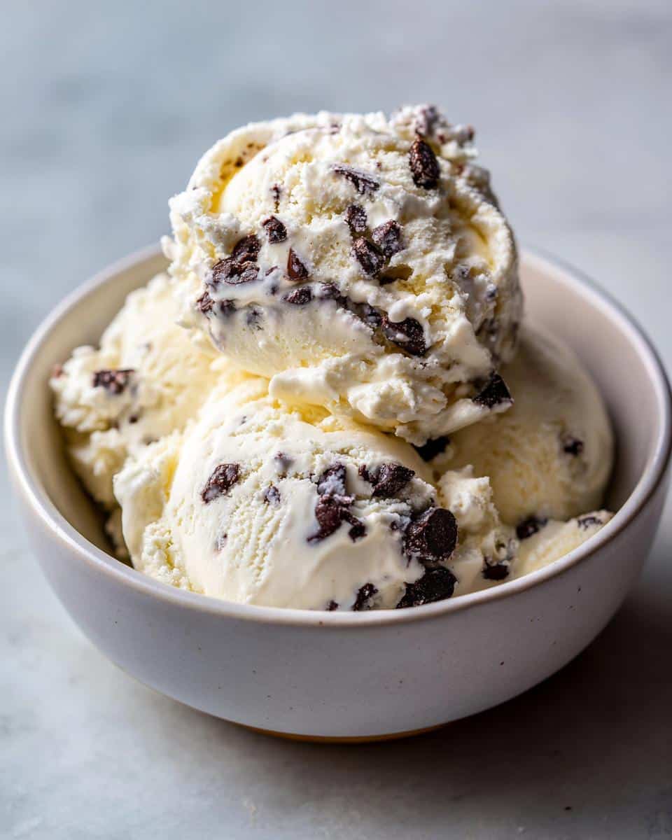 A bowl of creamy cottage cheese ice cream loaded with dark chocolate chips.