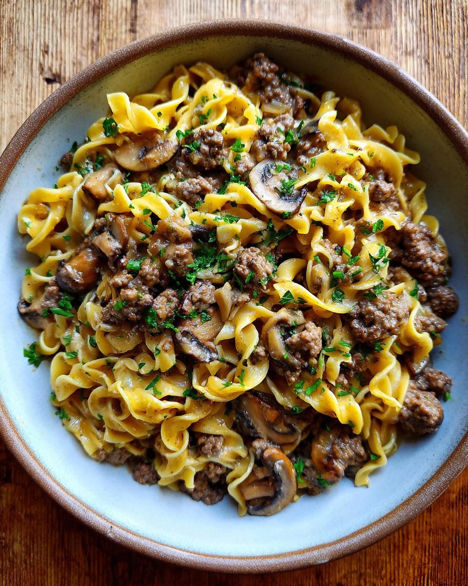 A close-up of a bowl filled with one pot hamburger stroganoff and wide egg noodles, garnished with fresh parsley.
