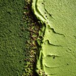 Close-up of creamy vegan matcha chia pudding with matcha powder and chia seeds.