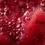 Macro shot of The Watermelon Juice with bubbles, showcasing its vibrant red color and refreshing texture.