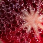 Macro image of The Watermelon Juice, showing vibrant red liquid and bubbles.